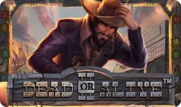 Spinanga Casino offre il gioco online Dead or Alive II