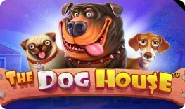 Spinanga Casino offre il gioco online The Dog House